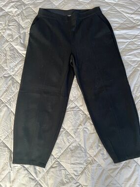 Eileen Fisher Black Women’s Pants Size Large